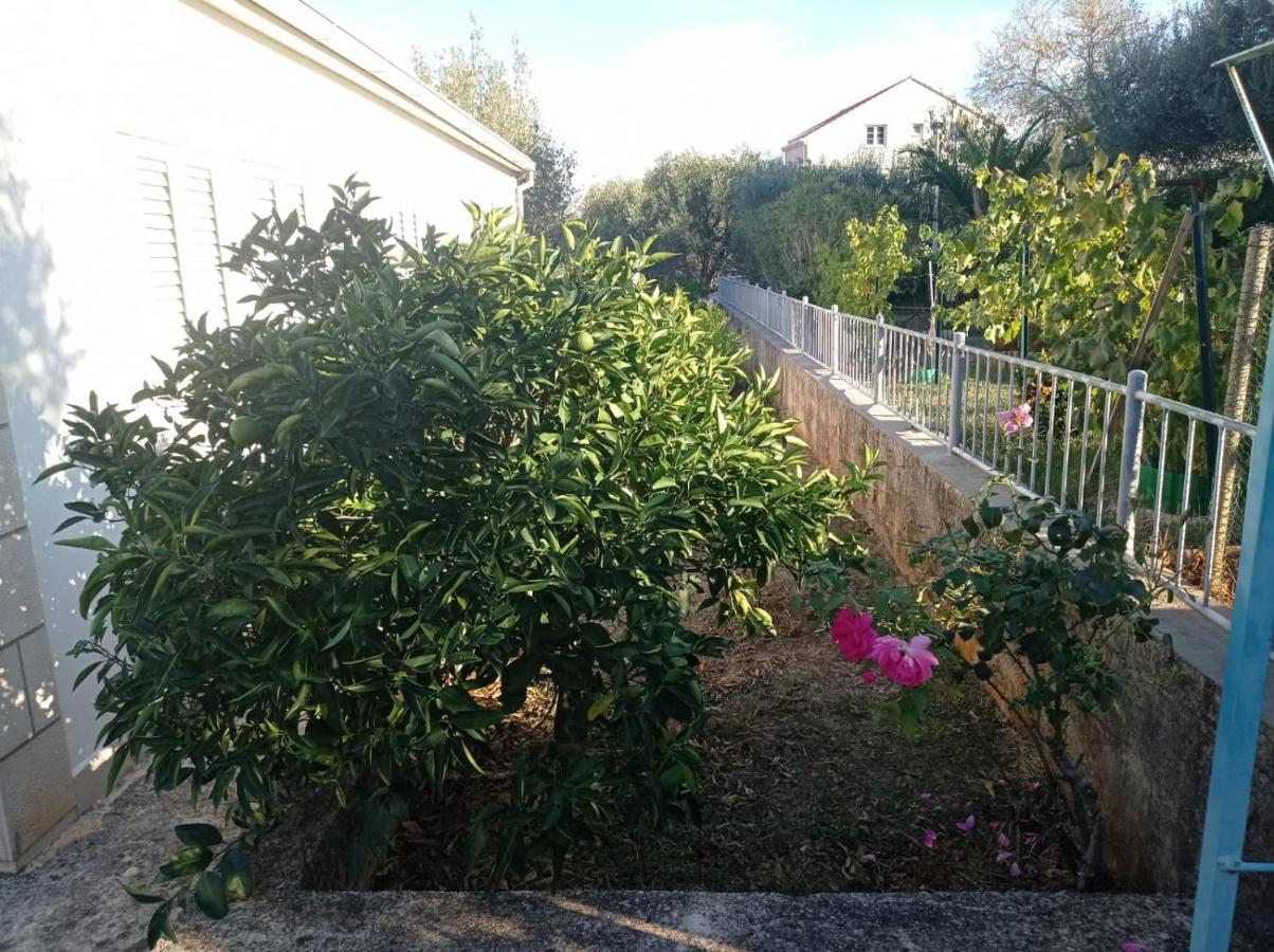 My Mediterranean Villa With Huge Garden And Own Parking 鲁巴达 外观 照片