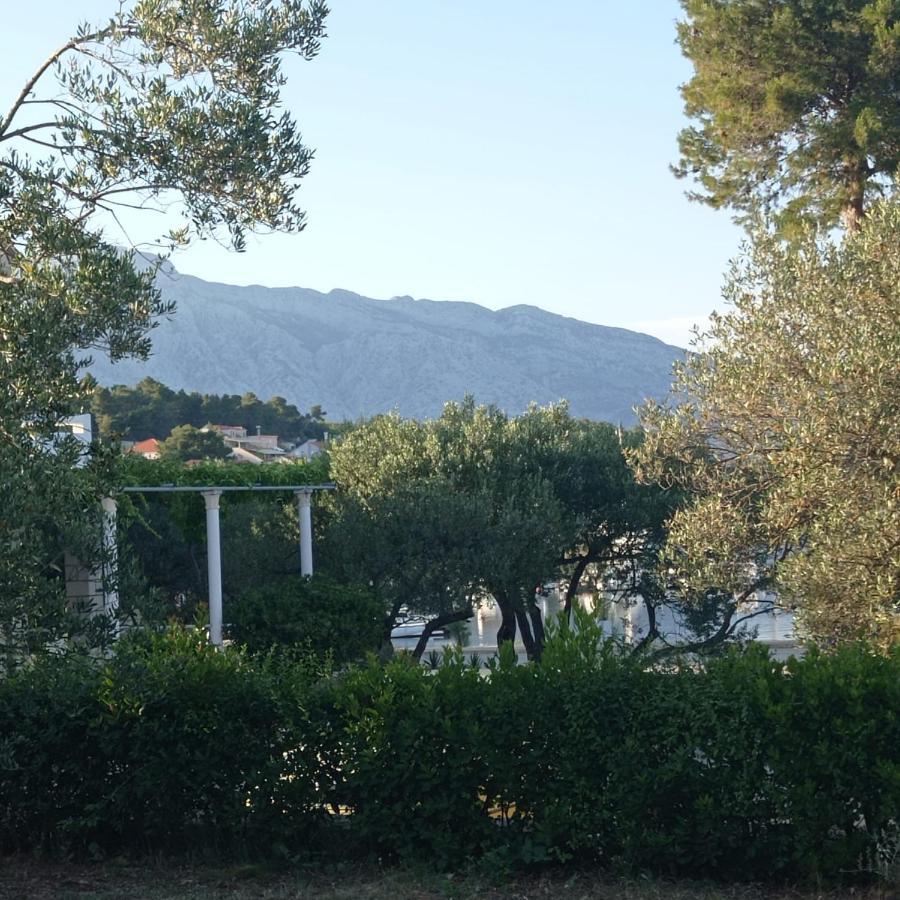 My Mediterranean Villa With Huge Garden And Own Parking 鲁巴达 外观 照片