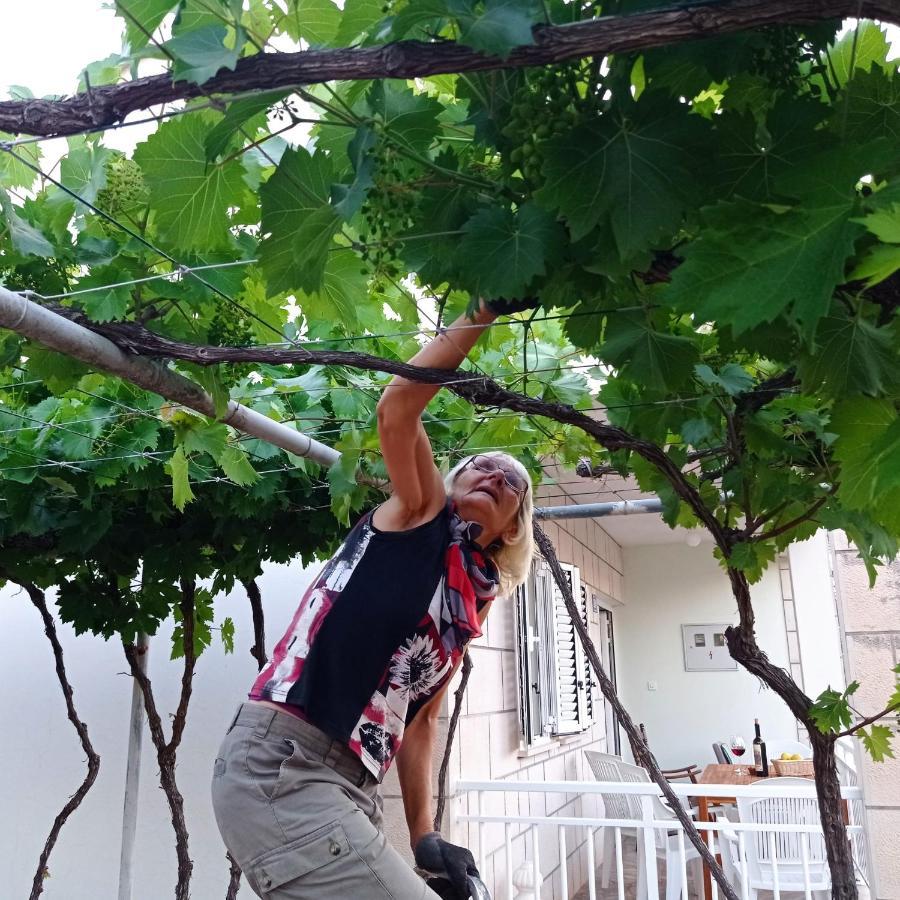 My Mediterranean Villa With Huge Garden And Own Parking 鲁巴达 外观 照片